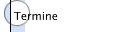 Termine