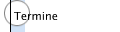 Termine